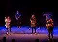 International Dance Showcase