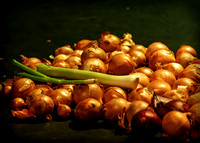 Wild Onions