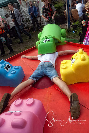 Hungry Hippos 2011