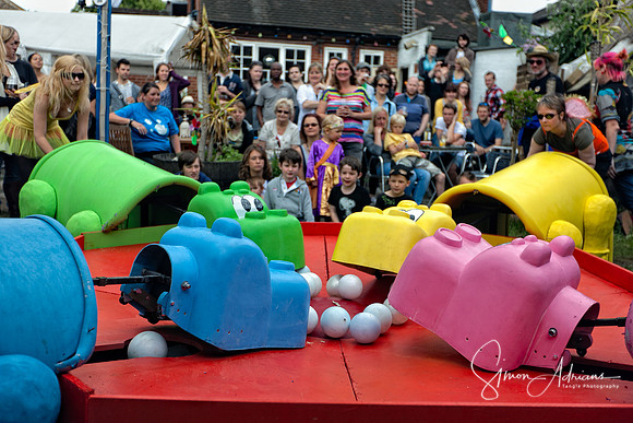 Hungry Hippos 2011