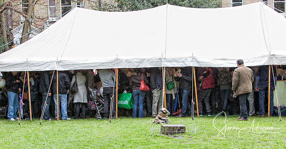 Seething Food Festival 2013