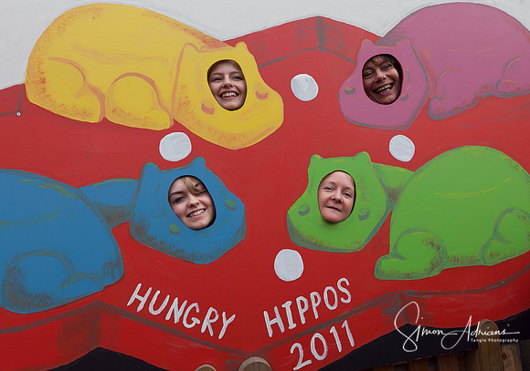 Hungry Hippos 2011