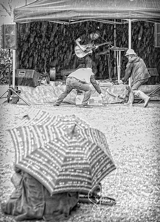 Seething food festival 2014