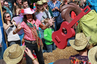 Buckaroo 2010
