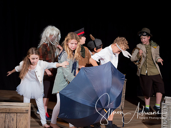 Wind in The Willows