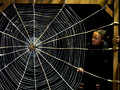 Charlotte's Web - Winter 2018