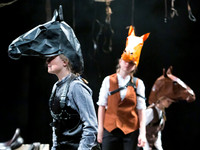 Group C&D - Directed by Lucy Morrell