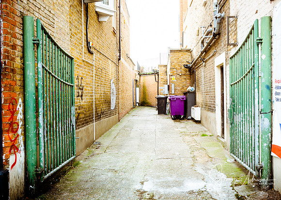 www.Tanglephotography.co.uk