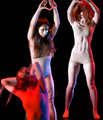 Examples from various performances