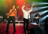 The Reptiles